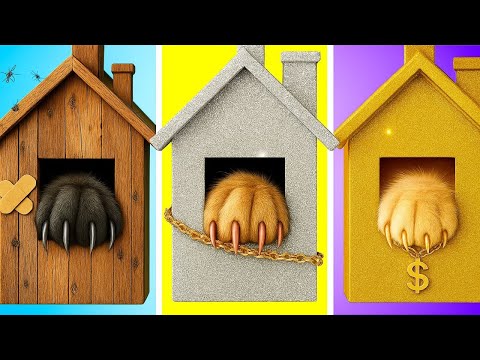 Видео: Секретный Кошачий Домик в Шкафу! 🐱🎉 DIY Ремонт Комнаты + Гаджеты и Лайфхаки