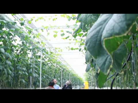 Видео: Большие города. Степногорск