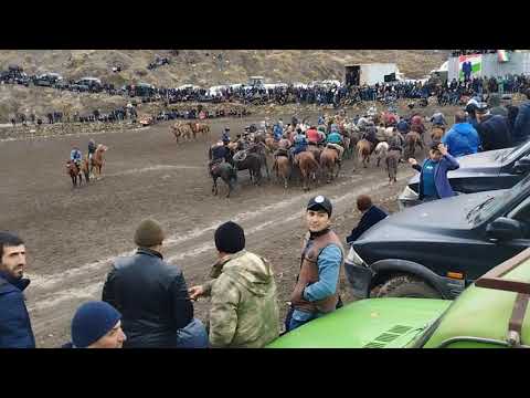 Видео: Бозиеки тамошояш ба тилло баробар аст!"БУЗКАШИ"__човандозони номии Точикистон_