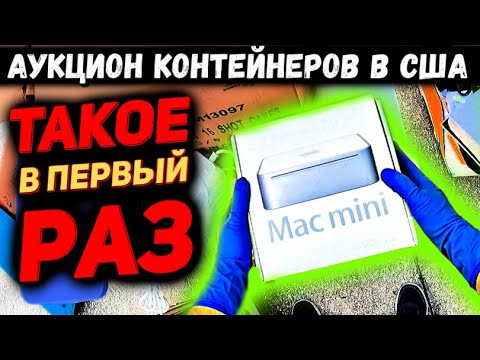 Видео: Купили Контейнер На Аукционе В СЛЕПУЮ! Повезёт в Этот Раз или Полный ПРОВАЛ? GOLD, Apple Mac Mini