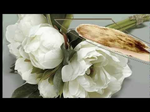 Видео: Ольга Павенская    Не зовите меня