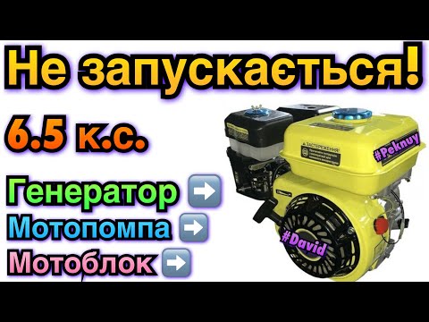 Видео: Двигун 6.5 к.с. НЕ ЗАПУСКАЄТЬСЯ! Генератор не запускається! Electric generator doesn’t start.