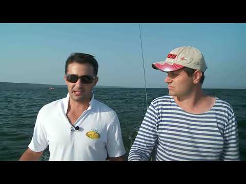 Видео: За сафриди на север / Sabiki seafishing