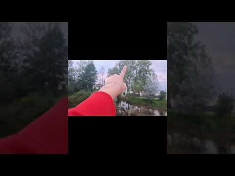 Видео: Монстры утаскивают удочки ,рыбалка на пруде