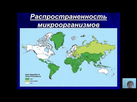 Видео: Общая микробиология (Бадлеева М.В.) - 1 лекция