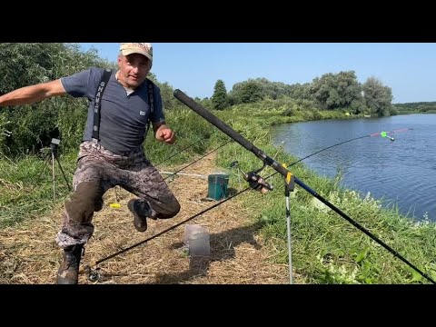 Видео: УДОЧКИ ТРЕЩАТ И УТАСКИВАЕТ!  ВПЕРВЫЕ НА ТАКОЙ РЫБАЛКЕ! Ловля Сазана.