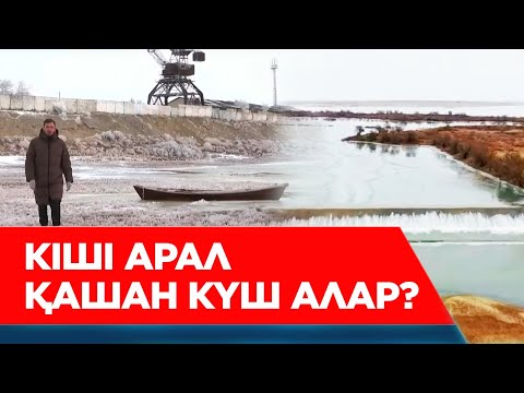 Видео: Аралды қайтару мүмкін бе? Алтай Айнабектің жобасына билік неге мойын бұрмай отыр? | Арнайы жоба