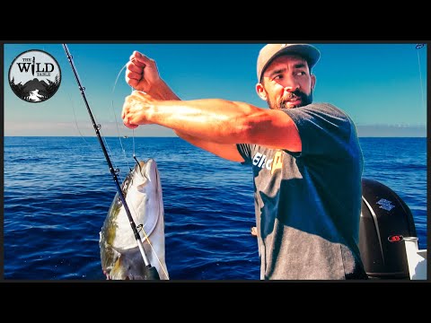 Видео: Миссия Kingfish острова Мэра