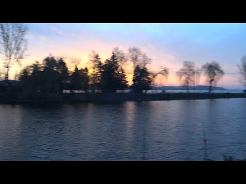 Видео: Риба клює тут...