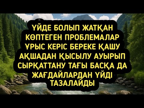 Видео: Қазіргі кезде көп кездесетін проблемалардан үйді тазалайды