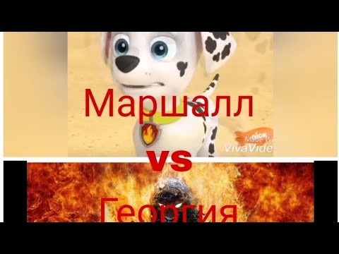 Видео: Комикс Щенячий патруль "приключения Маршала" 17 серия "план Маршала"