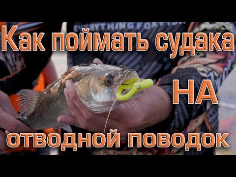 Видео: Как поймать судака на отводной поводок.