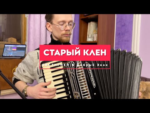 Видео: Старый клен - кавер от Евстигнея и группы Добрый Знак