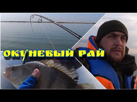 Видео: ВОЗВРАЩЕНИЕ В ОКУНЕВЫЙ РАЙ / ЛОВЛЯ ОКУНЯ С ЛОДКИ НА ВЕСЕЛОВСКОМ ВОДОХРАНИЛИЩЕ