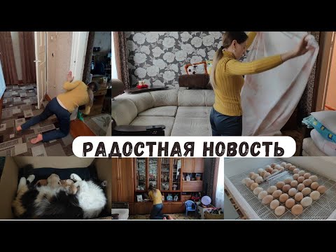 Видео: У нас РАДОСТНАЯ НОВОСТЬ 😍 Уборка в родительском доме 🧹 Инкубатор