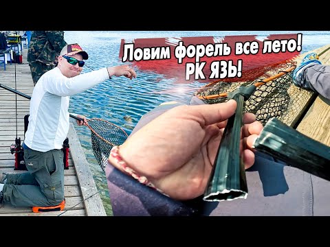 Видео: Форель ломает подсак | Ловля летней форели на Воблеры Jara baits и не только.