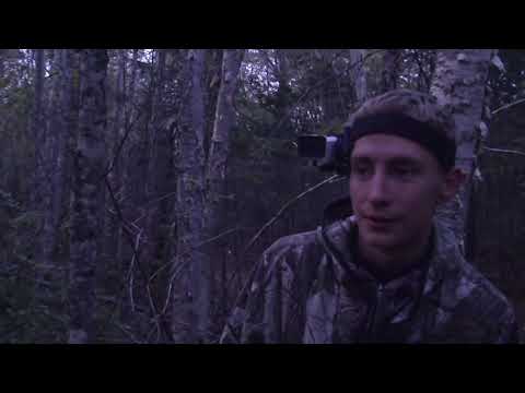 Видео: РЕВ ИЗЮБРЯ НА ДАЛЬНЕМ ВОСТОКЕ. ЗАГОТОВКА БРЕВЕН ДЛЯ НОВОЙ БАНИ В ТАЙГЕ НА УЧАСТКЕ.