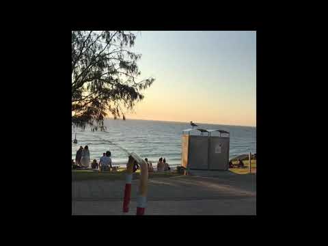 Видео: Австралия. Перт.Где я живу. Australia.Perth.cottesloe Swan River