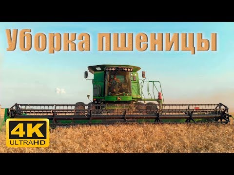 Видео: Уборка пшеницы! John Deere 9770 STS в 4K.