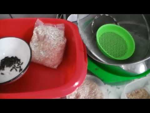 Видео: Мучной червь.Как правильно разводить.