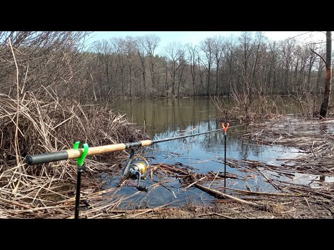 Видео: ПЕРВАЯ Рыбалка Весной. Открытие сезона на фидер