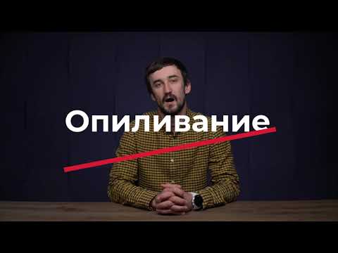 Видео: Урок 11   Опиливание