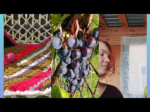 Видео: Вязальный влог 🧶 разбор пряжи,новый процесс