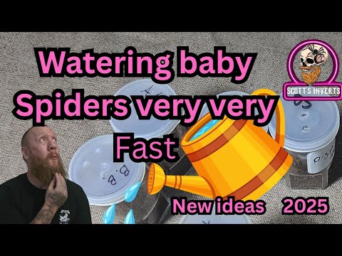 Видео: Как ОЧЕНЬ БЫСТРО поливать слинги