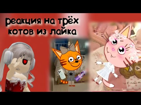 Видео: РЕАКЦИЯ НА ТРЁХ КОТОВ ИЗ ЛАЙКА ВМЕСТЕ С ПАПОЙ И СЕСТРОЙ?! | 18 часть | Я ВЕРНУЛАСЬ!