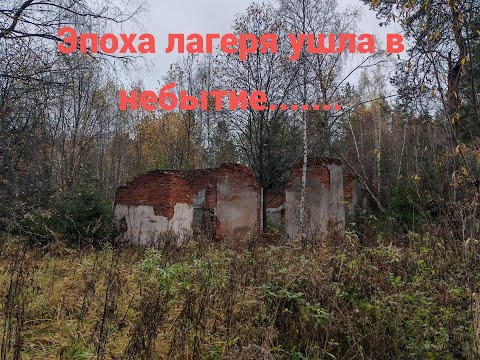 Видео: Обзор давно разрушенного детского лагеря!