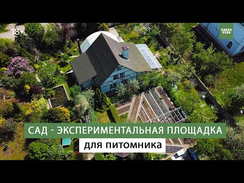 Видео: Сад для жизни и экспериментов. Плодовый сад, аллея, лиственничная поляна.