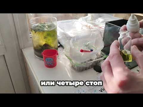 Видео: Измеряем жесткость водопроводной воды, и сравниваем с водой отстоявшийся. Нужно ли отстаивать воду?