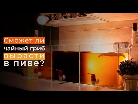 Видео: ЧТО СЛУЧИЛОСЬ С БЕСКОНЕЧНЫМ ГАЗИРОВАННЫМ НАПИТКОМ? + НОВЫЙ ЭКСПЕРИМЕНТ