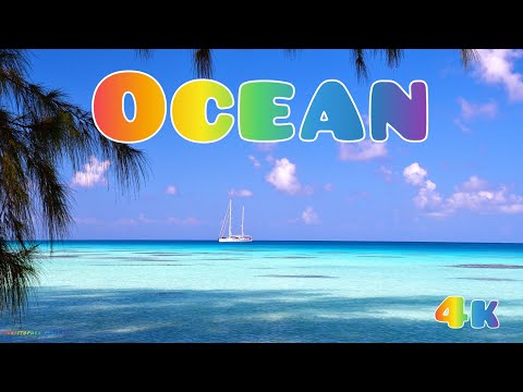 Видео: Океан. 4k. Божественная музыка. Музыка Сергея Чекалина. Lounge. Инструментальная музыка.
