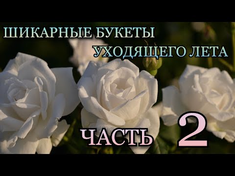 Видео: Шикарные букеты уходящего лета🌄🌹 Часть 2🌹❤️