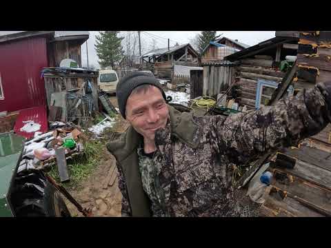 Видео: Бэлэх нашелся, вышел с тайги в поселок. Спасибо Сенокосову Николаю.