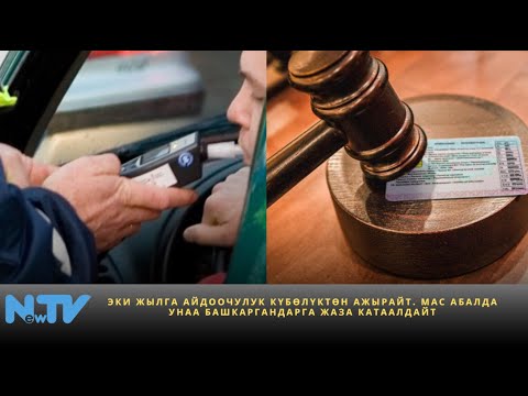 Видео: Эки жылга айдоочулук күбөлүктөн ажырайт. Мас абалда унаа башкаргандарга жаза катаалдайт.