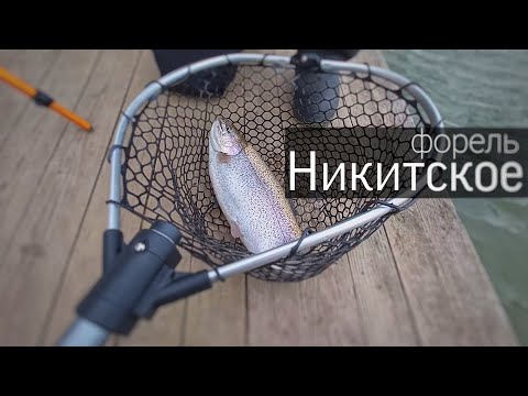 Видео: Ловля форели ранней весной ● НИКИТСКОЕ