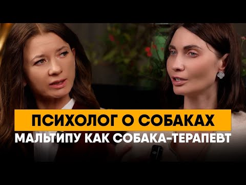 Видео: Психолог о собаках. Как пережить смерть питомца. Мальтипу как собака-терапевт.