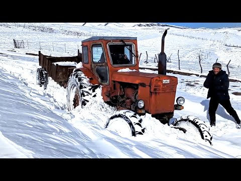 Видео: Трактор Т 40 Застрял в Снегу | Tractor T 40 stuck in snow