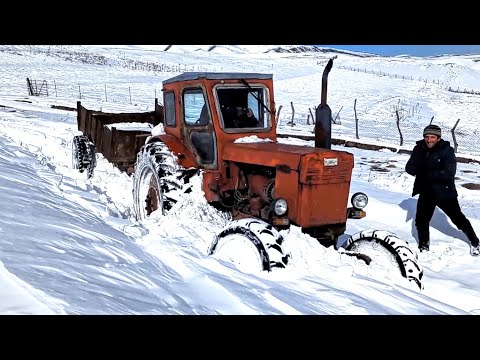 Видео: Трактор Т 40 Застрял в Снегу | Зимой едем в лес за дровами