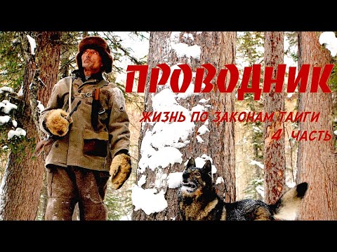 Видео: Проводник. Жизнь по законам тайги 4 / Siberia. Living by taiga rules / Сибирь