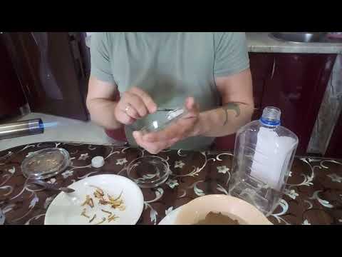 Видео: АГАР-можно и КАРТОН!