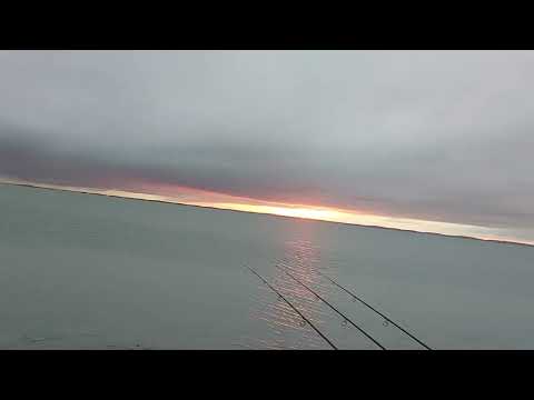 Видео: Шардара Старый локатор 16.11.2022