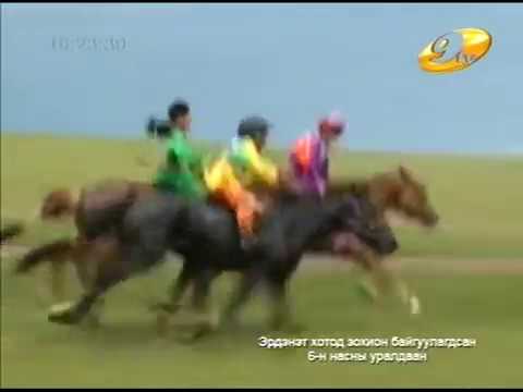 Видео: 2013 оны Хангайн бүс худалдааны төвийн нэрэмжит уралдаан  Хязаалан