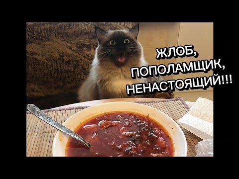 Видео: Включайте обратку с тарелочницами