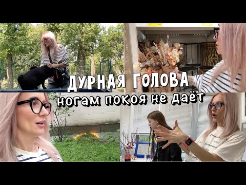 Видео: В поисках вазы. Ссора из-за собак. Не детские забавы и чужая карма.