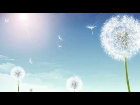 Видео: Жат жазуу 51 сөз