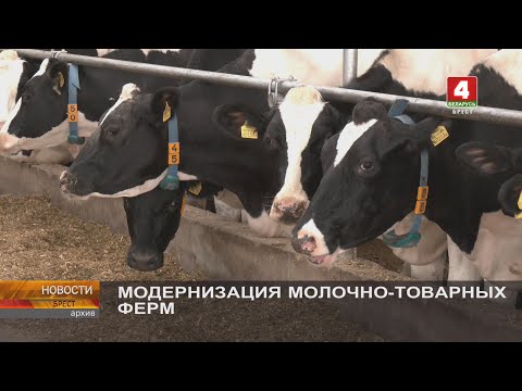 Видео: МОДЕРНИЗАЦИЯ МОЛОЧНО-ТОВАРНЫХ ФЕРМ