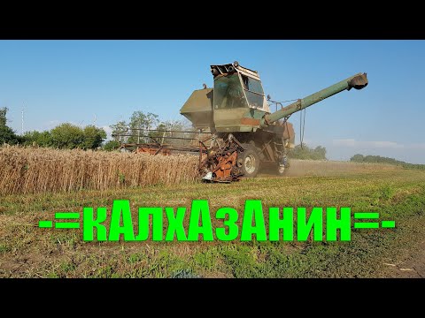 Видео: На парах можно заработать! Или Нет? Фацелия